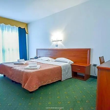 Hotel Standard Udine 3*