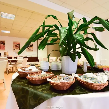 Hotel Standard Udine 3*