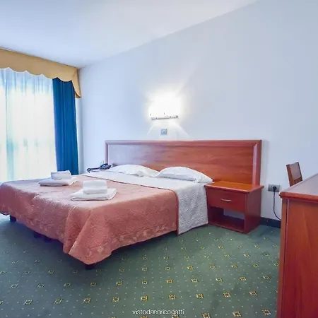Standard Udine Hotel 3*